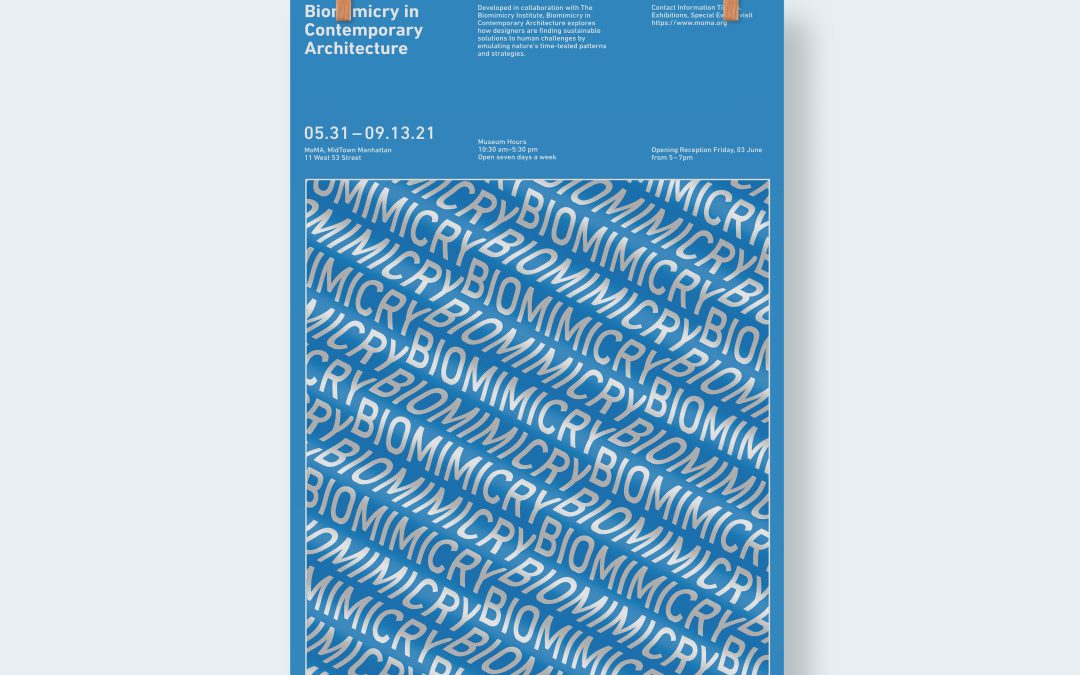 Biomimicry Poster